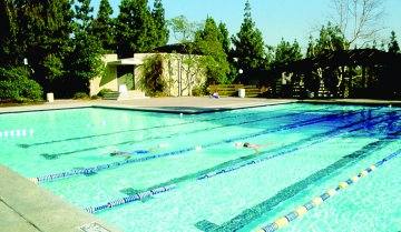 University of California (los Angeles) fotoğraf 4