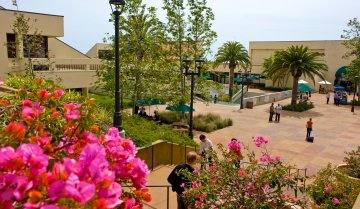 Pepperdine University fotoğraf 4