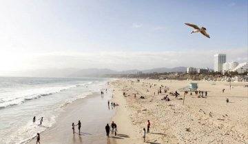 EC Los Angeles fotoğraf 5